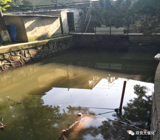 吉林省確定2022年東遼河流域治理重點任務(wù)