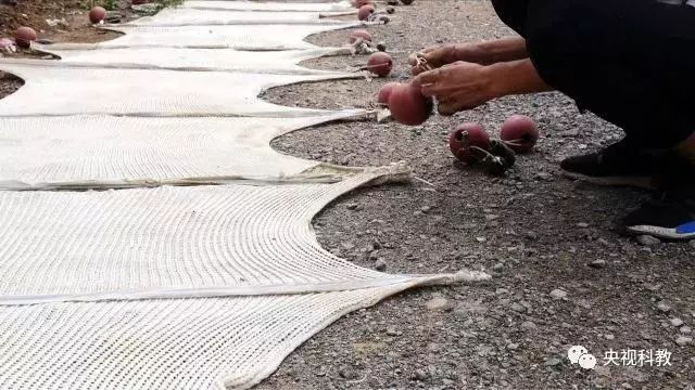 央視聚焦<a href=http://www.yuquanpf.com target=_blank class=infotextkey>雙良</a><a href=http://www.yuquanpf.com target=_blank class=infotextkey>新型光催化</a>“走進(jìn)科學(xué)”