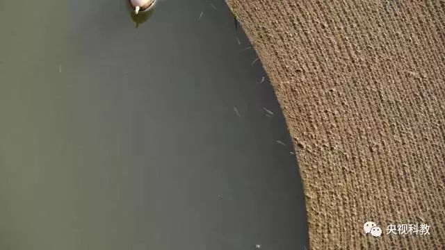 央視聚焦<a href=http://www.yuquanpf.com target=_blank class=infotextkey>雙良</a><a href=http://www.yuquanpf.com target=_blank class=infotextkey>新型光催化</a>“走進(jìn)科學(xué)”