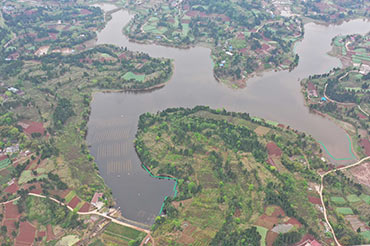 四川資陽市雁江區(qū)滴水巖水庫水體修復技術服務項目