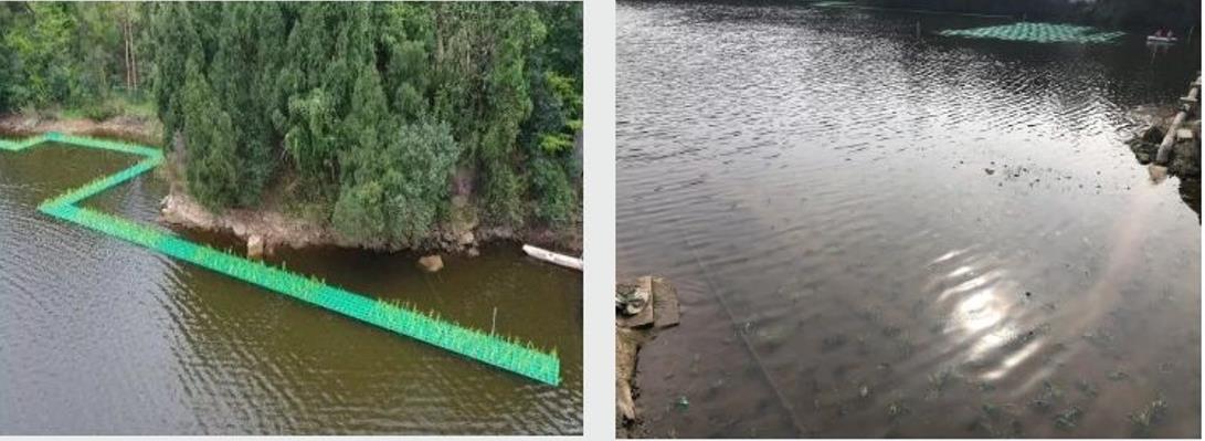 四川資陽市雁江區(qū)滴水巖水庫水體修復(fù)技術(shù)服務(wù)項目