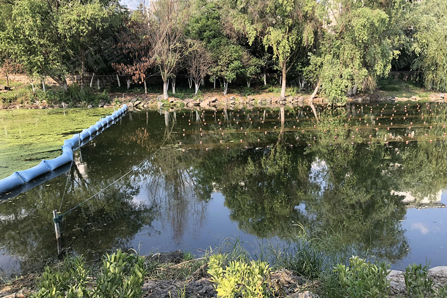自然河道消除黑臭-江蘇省鎮(zhèn)江市潤州區(qū)頭道河北段