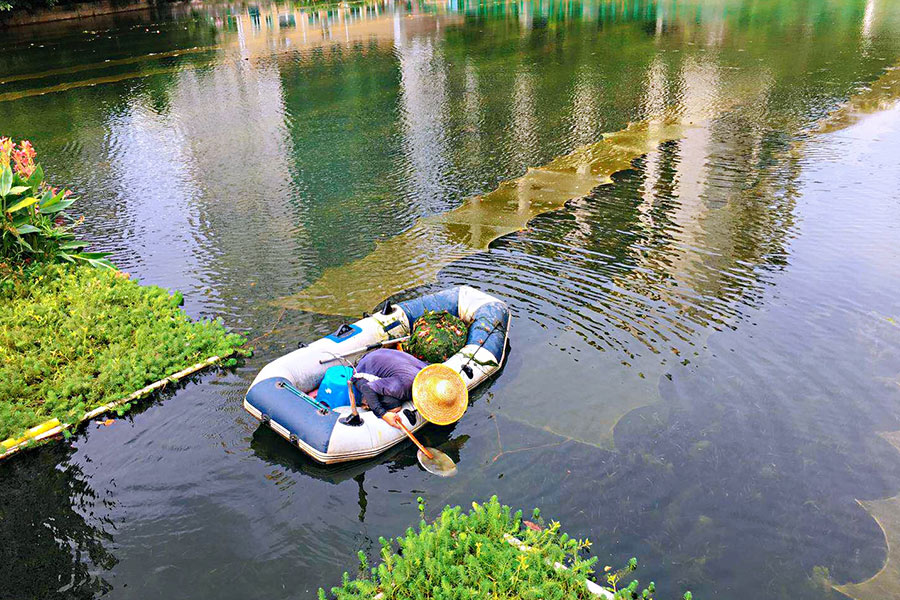 廣東省深圳市辛養(yǎng)魚塘-<a href=http://www.yuquanpf.com target=_blank class=infotextkey>水生態(tài)修復(fù)</a>示范項目