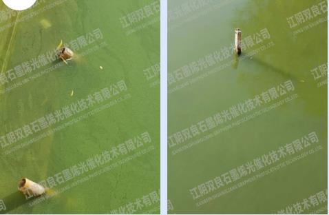 14億！江蘇南通如東縣農(nóng)村水環(huán)境治理二期項(xiàng)目EPCO工程總承包如東縣農(nóng)村水環(huán)境治理等資格后審公告