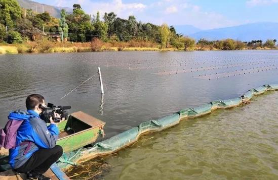 且看這個(gè)“不簡(jiǎn)單的網(wǎng)”如何改善大理洱源<a href=http://www.yuquanpf.com target=_blank class=infotextkey>水生態(tài)修復(fù)</a>環(huán)境