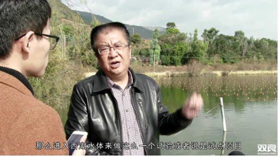 洱源西湖<a href=http://www.yuquanpf.com target=_blank class=infotextkey>水環(huán)境治理</a><a href=http://www.yuquanpf.com/hp/ target=_blank class=infotextkey>湖泊修復(fù)</a>碧水藍(lán)天