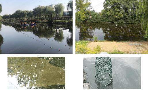 江陰市濱江河黑臭水體<a href=http://www.yuquanpf.com target=_blank class=infotextkey>河道治理</a>