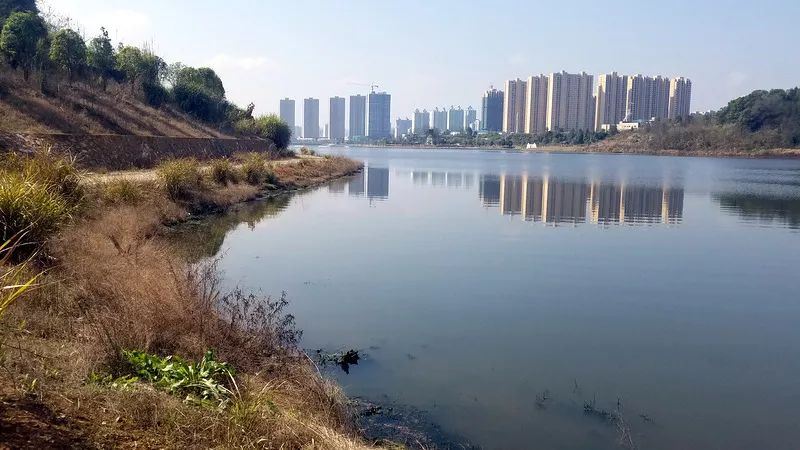 長興湖水<a href=http://www.yuquanpf.com target=_blank class=infotextkey>水環(huán)境治理</a>