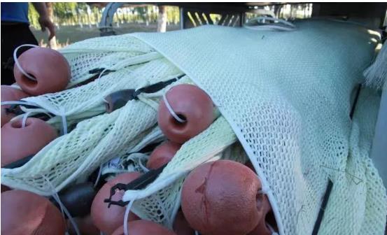 <a href=http://www.yuquanpf.com target=_blank class=infotextkey>雙良</a>光催化為通州鳳港減河專門(mén)治水體