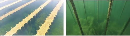 <a href=http://www.yuquanpf.com target=_blank class=infotextkey>雙良</a><a href=http://www.yuquanpf.com target=_blank class=infotextkey>新型光催化</a>技術(shù)市場(chǎng)應(yīng)用推廣交流會(huì)在上海順利召開！