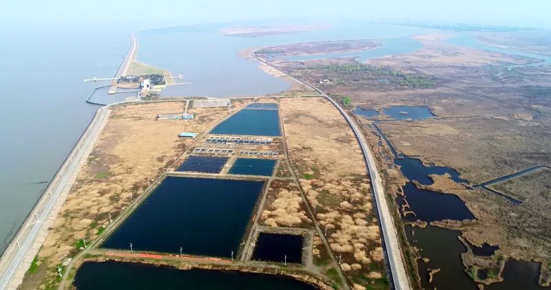 中國(guó)第一大城市飲用水<a href=http://www.yuquanpf.com/yysyd/ target=_blank class=infotextkey>水源地治理</a>技術(shù)突破