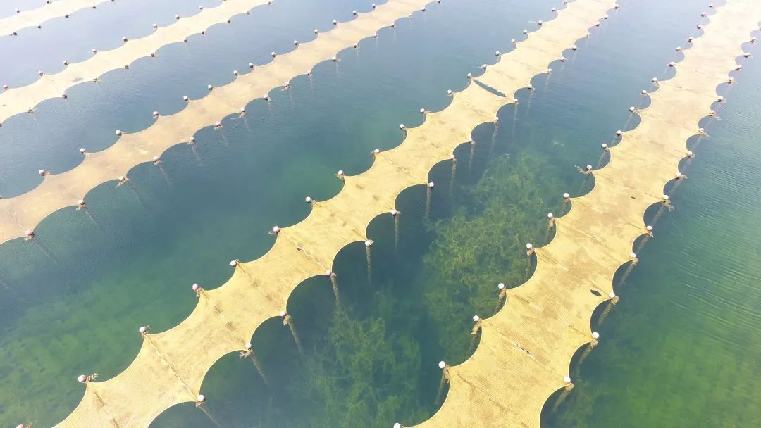 “光催化技術(shù)提升飲用水源地水質(zhì)工程應(yīng)用專家評審會”在上?？茖W(xué)會堂順利召開