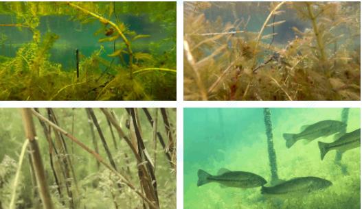 <a href=http://www.yuquanpf.com/yysyd/ target=_blank class=infotextkey>水源地治理</a>