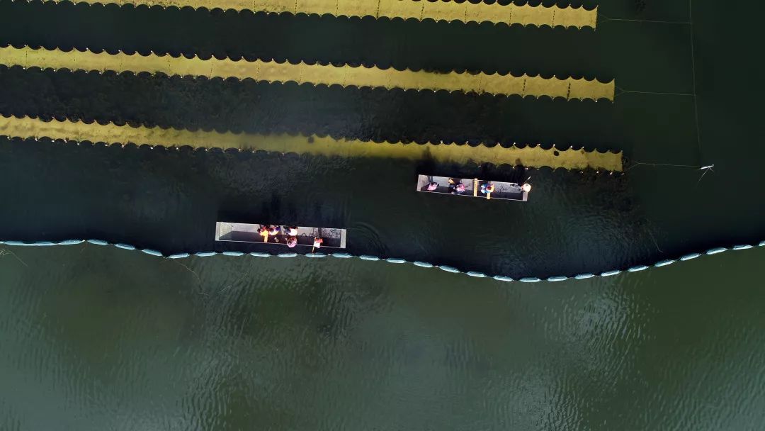 江夏區(qū)環(huán)魯湖生態(tài)治理EOD項目啟動區(qū)環(huán)魯湖水生態(tài)治理及保護(hù)利用工程勘察及初步設(shè)計中標(biāo)候選人公示