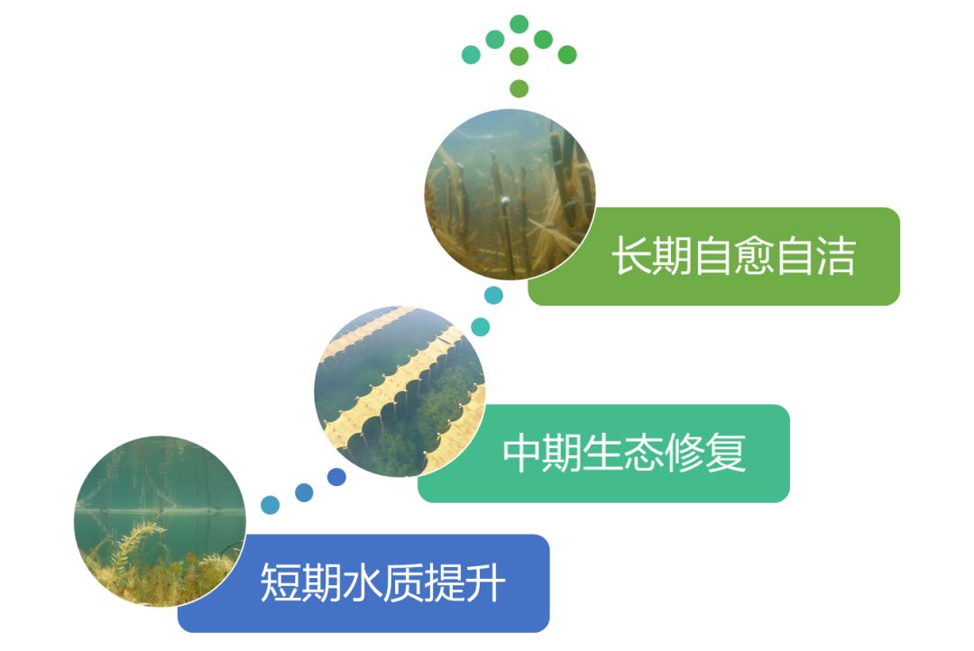 2020<a href=http://www.yuquanpf.com target=_blank class=infotextkey><a href=http://www.yuquanpf.com target=_blank class=infotextkey>雙良</a>環(huán)境</a>春招開啟