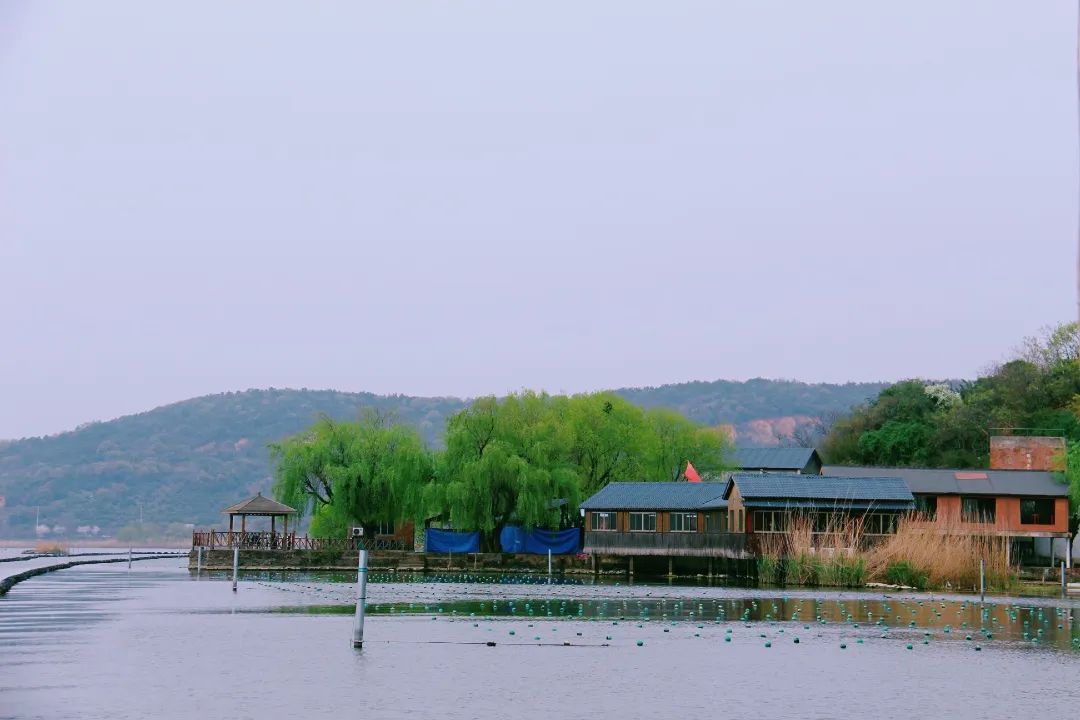 “尋找雙良環(huán)境最美春天”攝影活動圓滿結束！