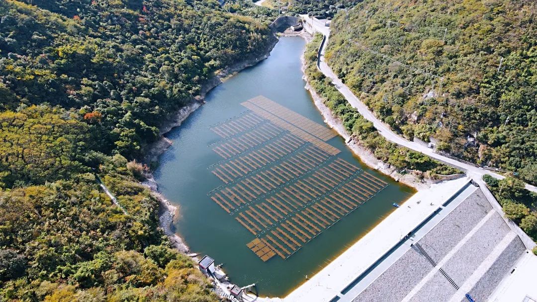 雙良環(huán)境宣傳工作調查問卷來啦！