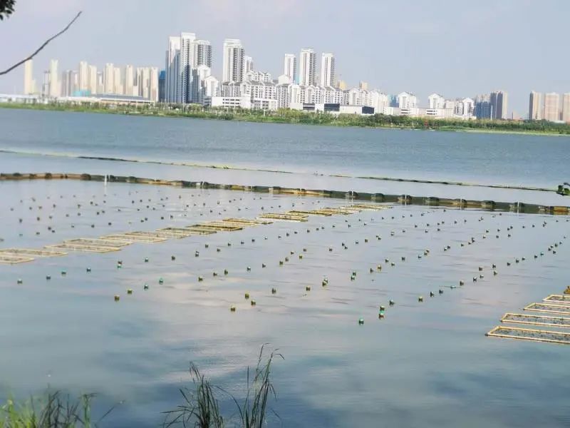 <a href=http://www.yuquanpf.com target=_blank class=infotextkey><a href=http://www.yuquanpf.com target=_blank class=infotextkey>雙良</a>環(huán)境</a>乘風(fēng)破浪的三石弟弟