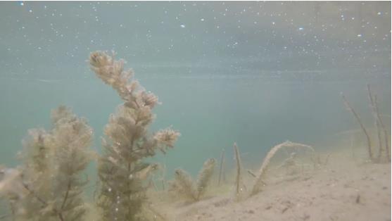 改善<a href=http://www.yuquanpf.com target=_blank class=infotextkey>水環(huán)境修復(fù)</a>水生態(tài)是我們的使命！