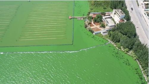 云南大學(xué)張虎才研究團(tuán)隊(duì)發(fā)表石墨烯光催化技術(shù)對(duì)高污染富營養(yǎng)化湖泊水質(zhì)提升實(shí)驗(yàn)研究成果