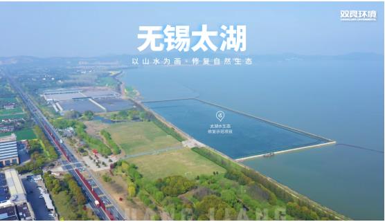 雙良環(huán)境新技術加持為太湖水生態(tài)修復注入“新動力”！