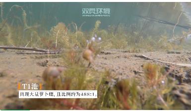 保護生物多樣性雙良環(huán)境在行動！