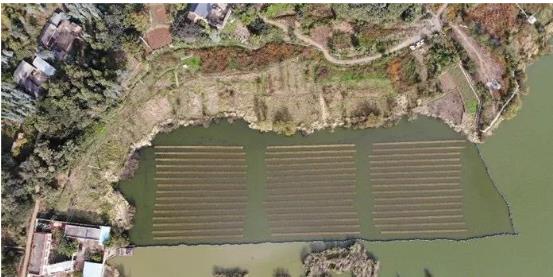 全面修復水環(huán)境岸綠水清惠民生