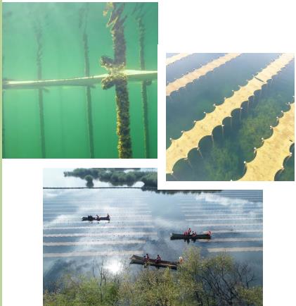 污水廠一線運(yùn)維崗的工藝管理進(jìn)階課！