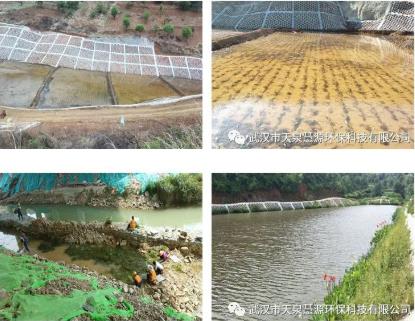 到2025年，基本消除大面積農(nóng)村黑臭水體