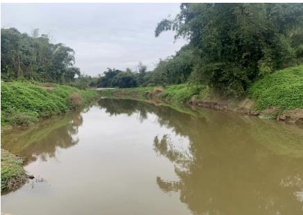 夏季水草豐茂的水域pH為何容易“超標(biāo)”？