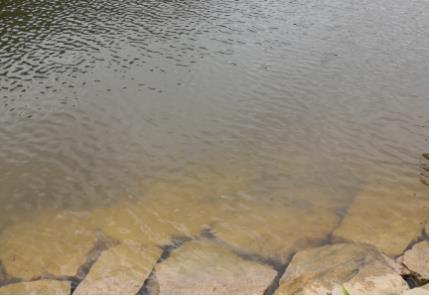 河湖內(nèi)源污染控制技術研究現(xiàn)狀及疏浚效果差異淺析