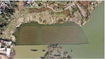 市人大來(lái)海門(mén)街道調(diào)研河道治理工作