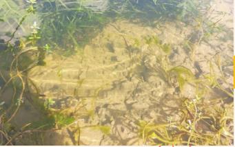 岸上岸下城鎮(zhèn)農(nóng)村同步治理崇陽萬人保護(hù)水環(huán)境！