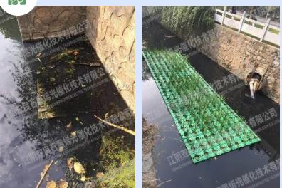 房山這兩處“黑臭”水體變景觀、綠地