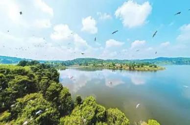 雙良環(huán)境：打好環(huán)境“保衛(wèi)戰(zhàn)”，練好生態(tài)“修復術”