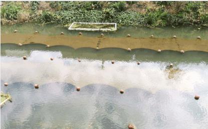 化成水庫治理：污水直排問題整改不力 反彈更嚴(yán)重