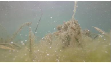 多地發(fā)布水環(huán)境治理項(xiàng)目，水利展重磅發(fā)布！