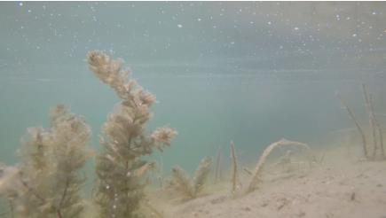 加快水生態(tài)修復(fù)，促進全省水環(huán)境質(zhì)量穩(wěn)定提升