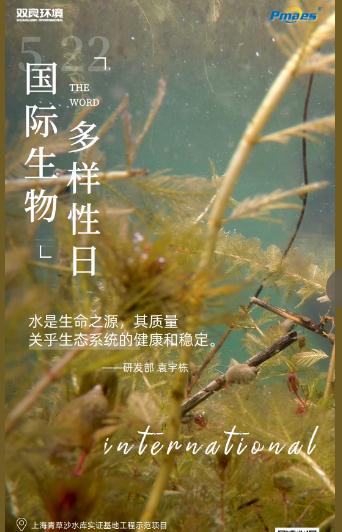 5.22生物多樣性日｜共護(hù)碧水清波，共建和諧生態(tài)！