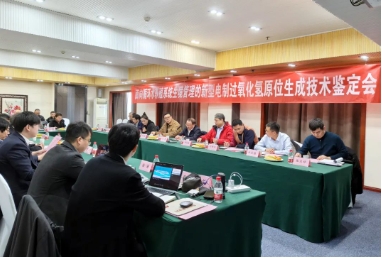 國(guó)際先進(jìn)！雙良環(huán)境這項(xiàng)首創(chuàng)技術(shù)通過(guò)專(zhuān)家權(quán)威鑒定